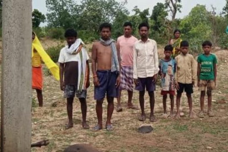 झारखंड: करंट लगने से छह मवेशियों की मौत, पशुपालकों ने की मुआवजे की मांग