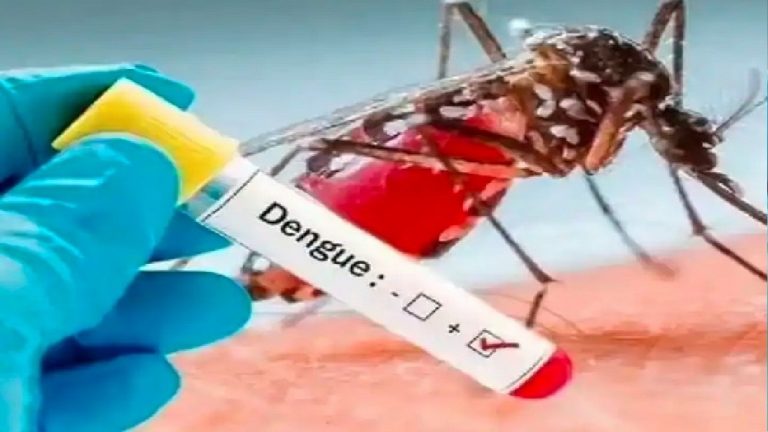 Bihar में अब कोरोना की तरह ट्रेंड बदल डरा रहा डेंगू, निगेटिव रिपोर्ट पर भी तेजी से कम हो रहा प्लेटलेट्स