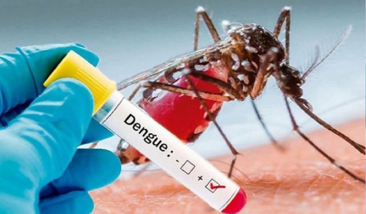 Dengue and Malaria :