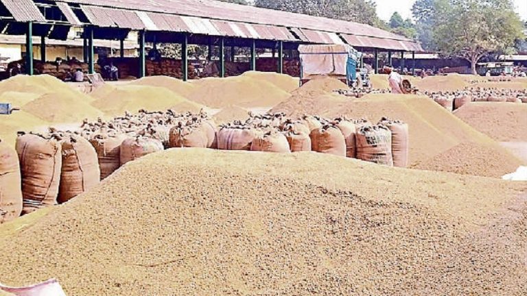किसानों को बंपर मुनाफा, हरियाणा की मंडियों में अच्छी कीमत पर खूब बिक रहा यूपी का बासमती धान, जानें कीमत