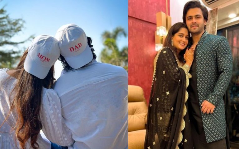 प्रेग्नेंसी को लेकर दीपिका कक्कड़ को झेलनी पड़ी ट्रोलिंग, शोएब इब्राहिम ने तोड़ी चुप्पी, बोले- एक व्यक्ति…