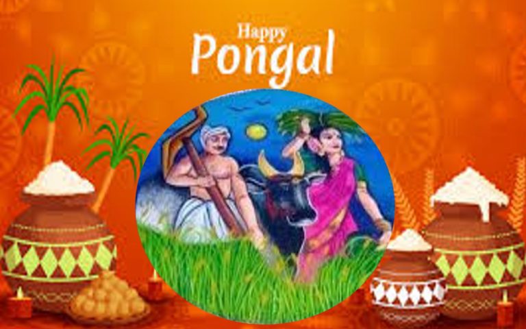 Pongal Simple Rangoli Design: पोंगल पर घर के मेन गेट पर बनाएं रंगोली, यहां है रंगोली के आसान डिजाइन