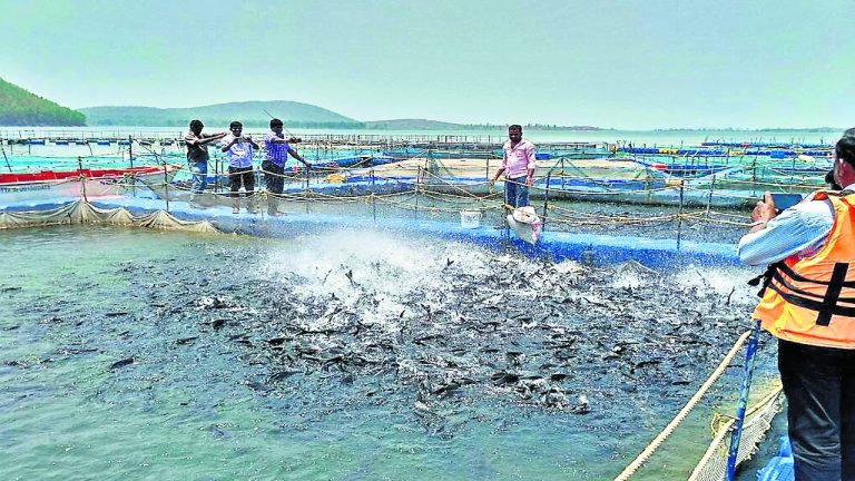 मत्स्य पालन में संभावना