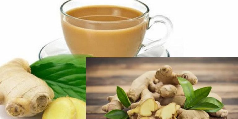 Ginger Tea: सर्दियों में अदरक वाली चाय ज्यादा पीने से हो सकती है सेहत संबंधी ये परेशानी