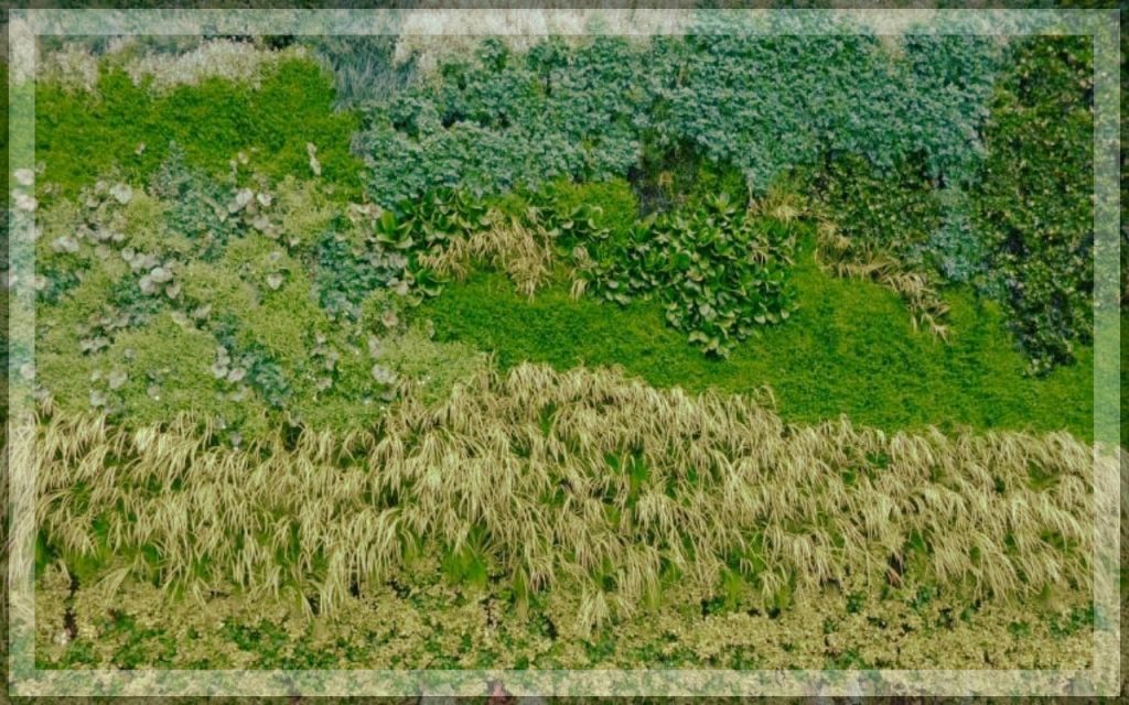an image