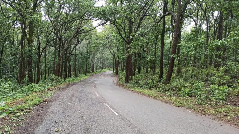 Jharkhand Weather Forecast: झारखंड में फिर मौसम के करवट लेने के आसार, तीन दिनों तक होगी बारिश