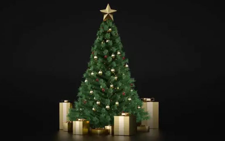 Christmas Tree 2022: क्रिसमस ट्री का क्या है महत्व, जानें इसके बारे में रोचक तथ्य