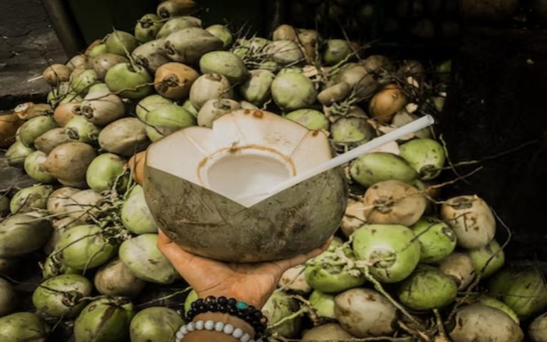नारियल पानी में छिपे हैं कई स्वास्थ्य लाभ, जिसे शायद ही जानते होंगे आप