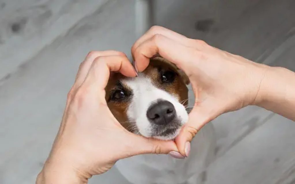 an image