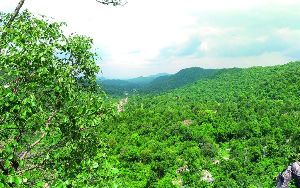 an image