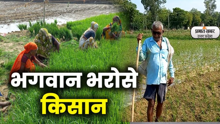 Weather Update: यूपी में नहीं बरसा पानी, धान की रोपाई प्रभावित, किसान निराश