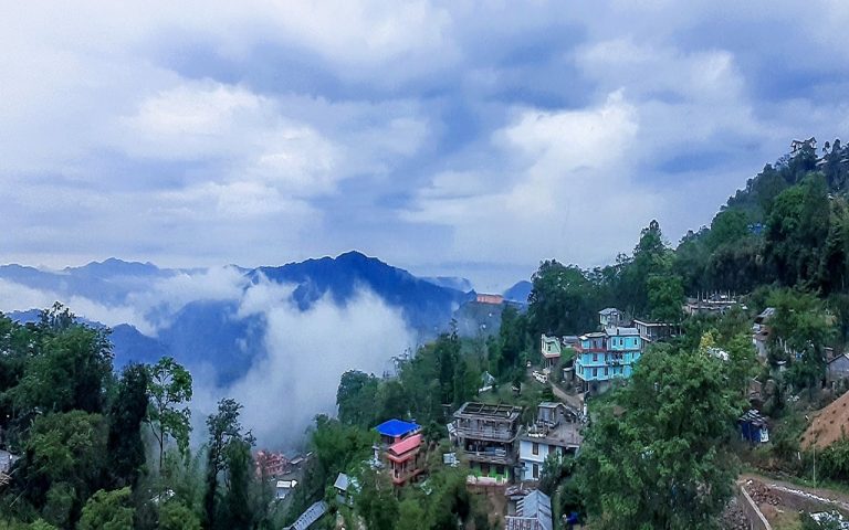 कीड़े, मक्खी, मेंढक के मीट से जहां सजती है खाने की प्लेट, पैसे की भूख परेशान नहीं करती, जानें अनोखी संस्कृति को
