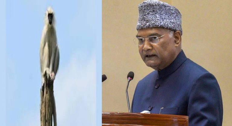 Mathura: राष्ट्रपति कोविंद के चश्मे पर रहेगी खुराफाती बंदरों की नजर, सुरक्षा में तैनात रहेंगे ये एक्सपर्ट