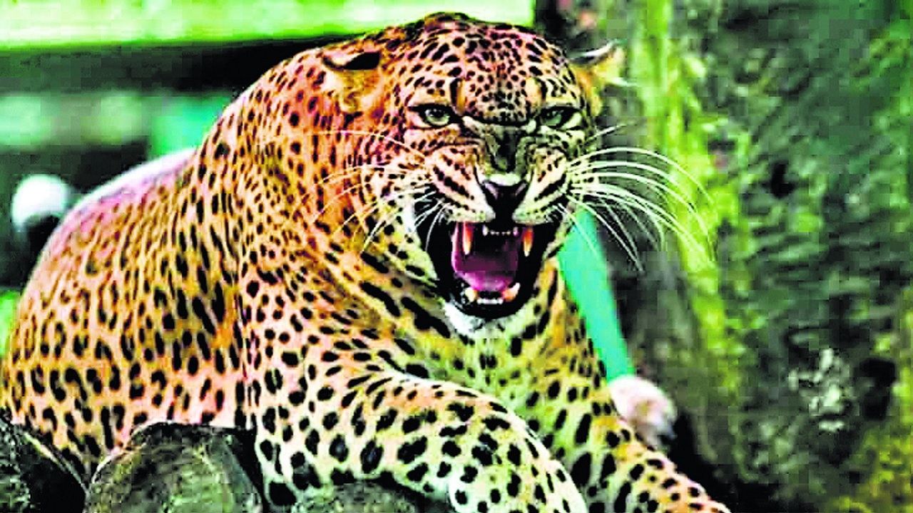 bihar news