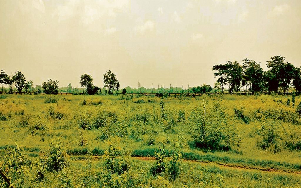 an image
