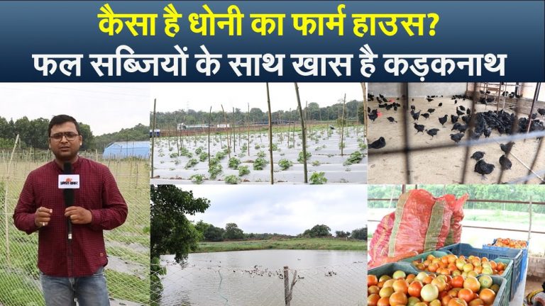 धुस्का, बर्रा और झारखंड की हवा विटामिन का काम करती है – एक्टर राजेश जैस