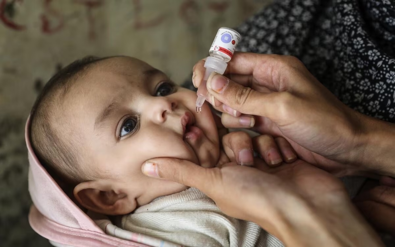 vaccination