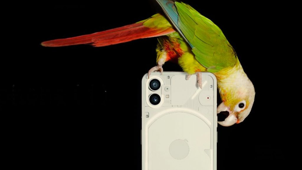 an image