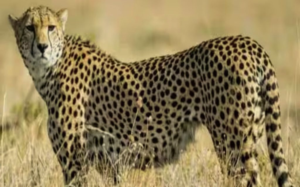 an image