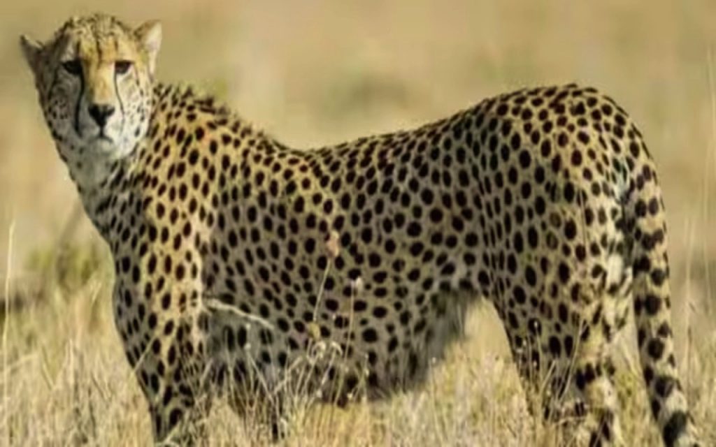 an image