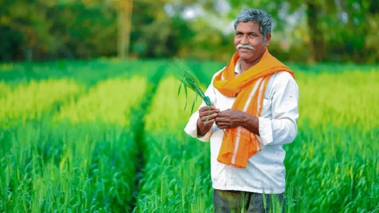 PM Kisan Samman Nidhi: भूलकर भी नहीं करें ये गलतियां वरना बंद हो जाएगा पैसा मिलना, तुरंत देखें अपडेट