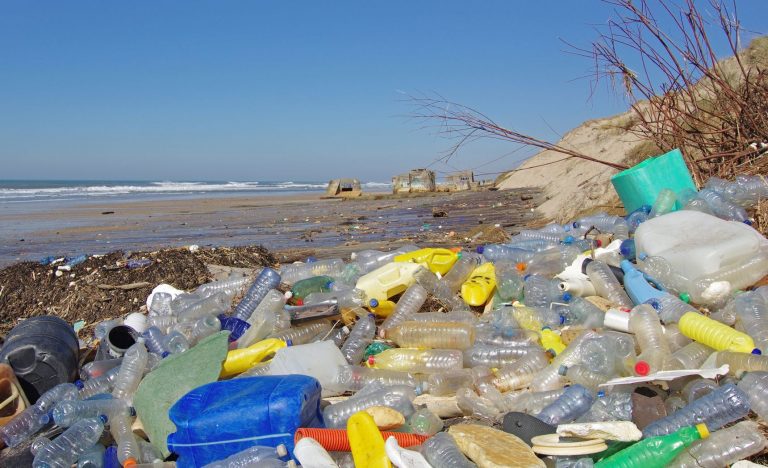 Environment: विश्व पर्यावरण दिवस के लिए ‘एक राष्ट्र, एक मिशन: प्लास्टिक प्रदूषण समाप्त करें’ अभियान का हुआ आगाज