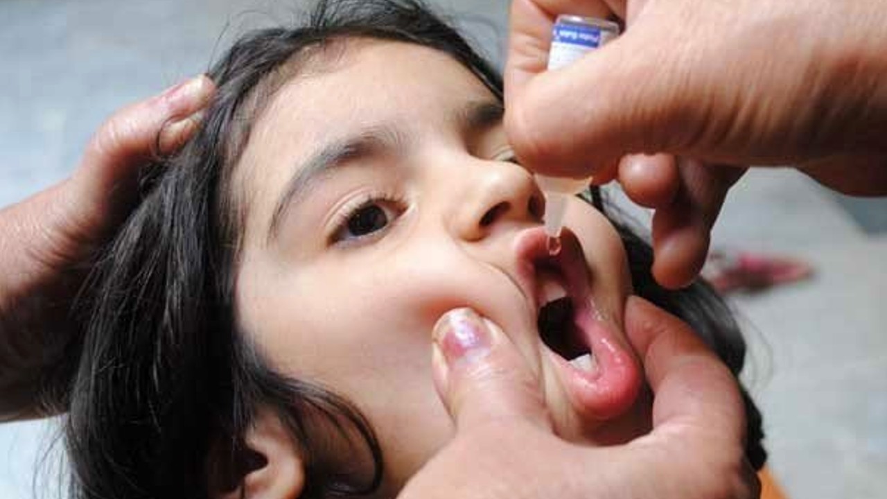 world polio day