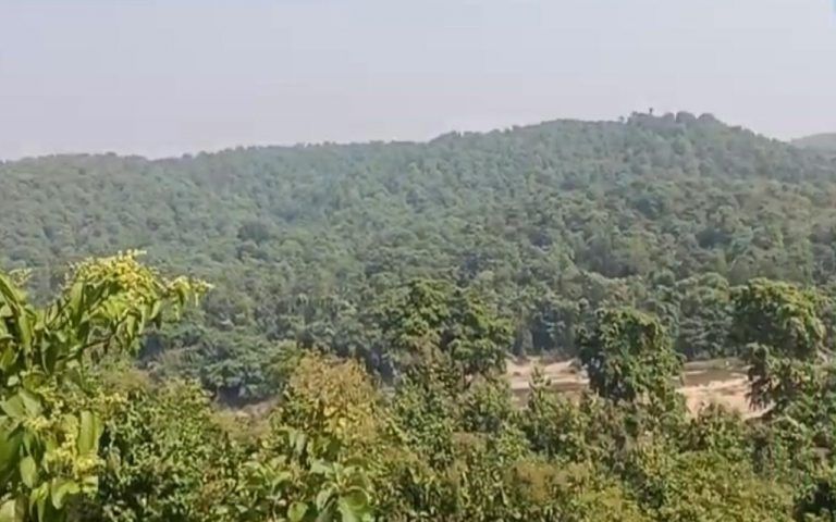 लातेहार : पीटीआर जंगल में हथियार के साथ चार शिकारी गिरफ्तार