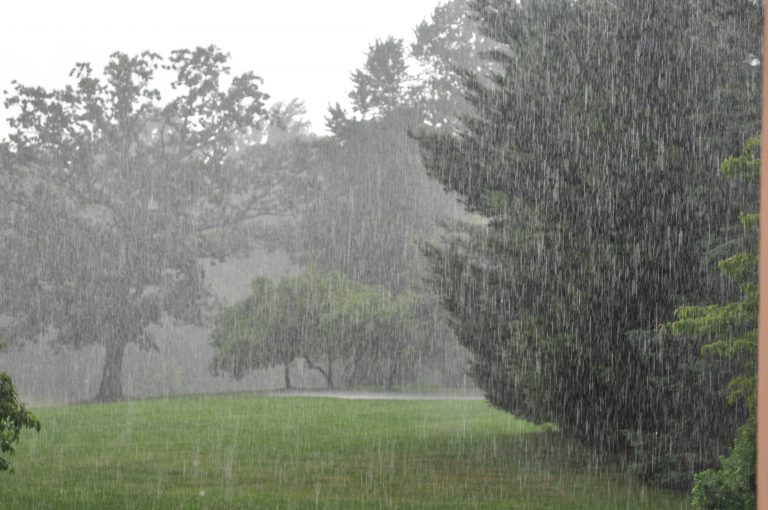 Bihar Weather Update: दक्षिण बिहार में आंधी व ठनके के साथ होगी तेज बारिश, मौसम विभाग ने जारी किया अलर्ट