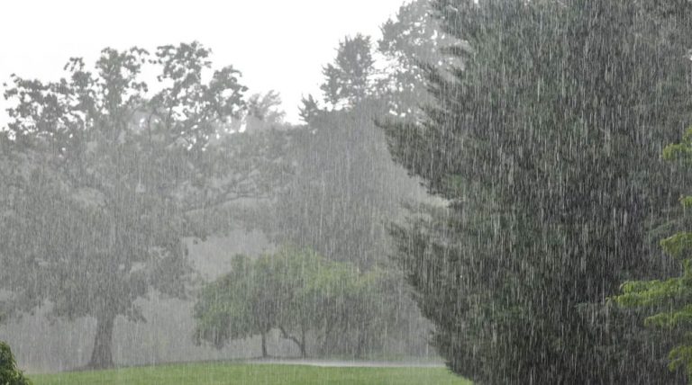Weather Forecast Updates : बिहार में वज्रपात से 10 लोगों की मौत , जानें अन्य राज्यों का हाल
