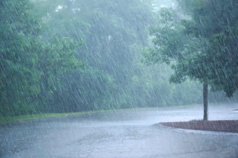 Jharkhand Weather Forecast : झारखंड में 20 मार्च के लिए येलो अलर्ट जारी, राज्य के इन इलाकों में बारिश का अनुमान, पढ़े क्या कहता है वैज्ञानिकों का पूर्वानुमान
