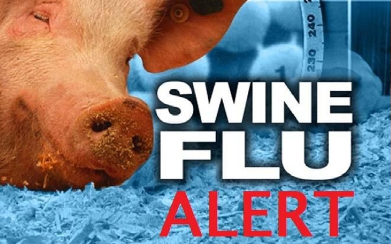 Jalandhar Swine Flu News :