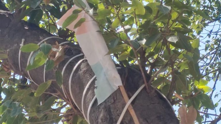 अलीगढ़ में सप्ताह भर में तिरंगे के अपमान को लेकर आया दूसरा मामला, फहर रहा फटा हुआ तिरंगा