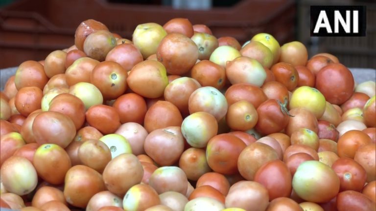टमाटर हुआ ‘ज्यादा लाल’, जानें कब कम होगी कीमत