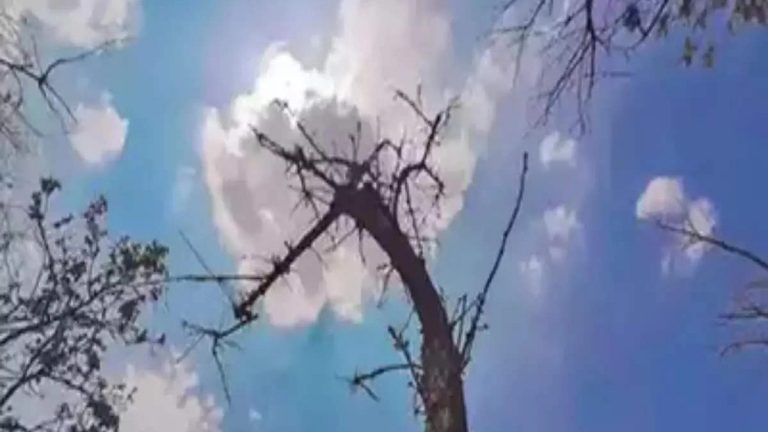 UP Weather Update: यूपी में बारिश पर लगा ब्रेक, सावन की विदाई के साथ उमस दिखाने लगी असर, जानें अपने शहर का हाल