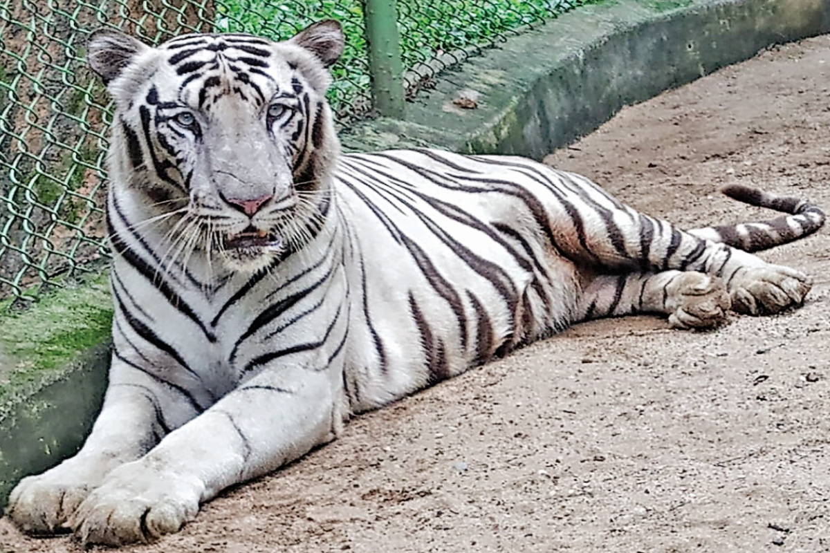 Futanari porno multfilmlarini onlayn tomosha qiling