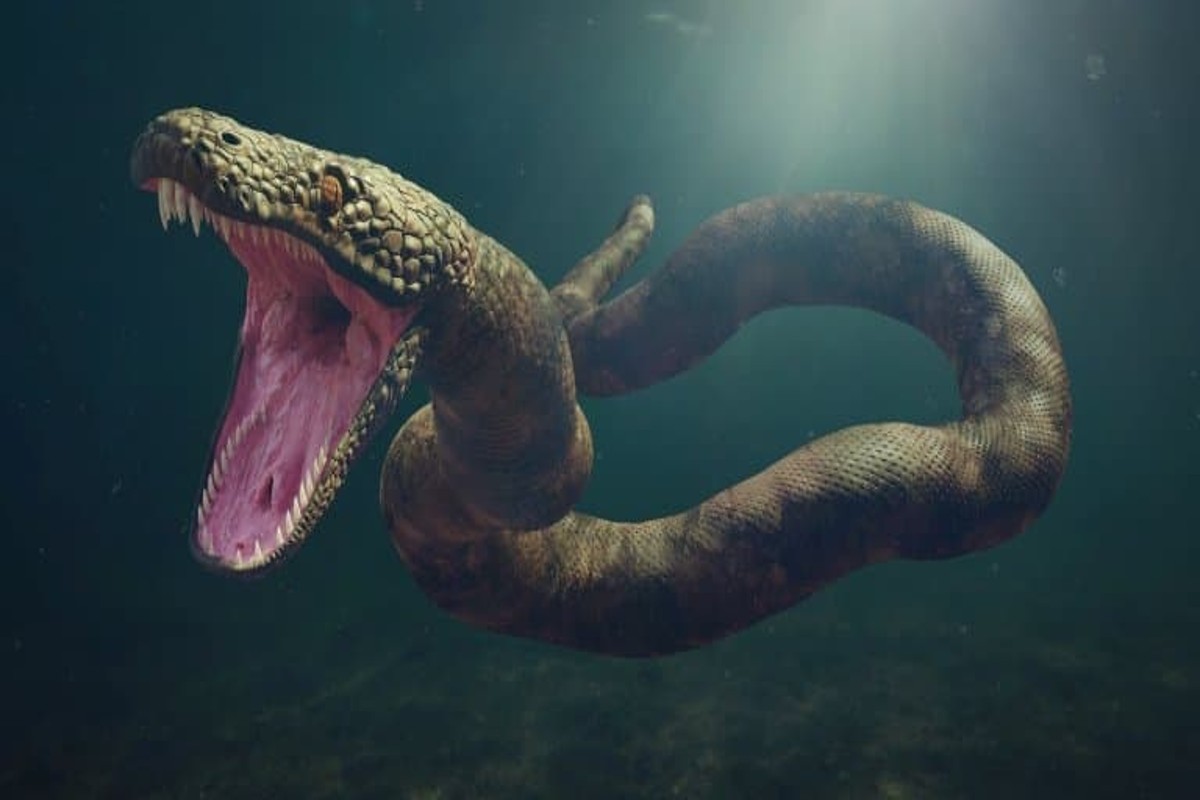 Snake