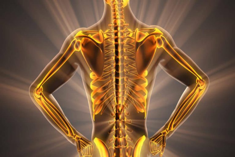 Healthy Bones : बुढ़ापे तक नहीं कमजोर होंगी हड्डियां, डाइट में शामिल कर लें यह चीज
