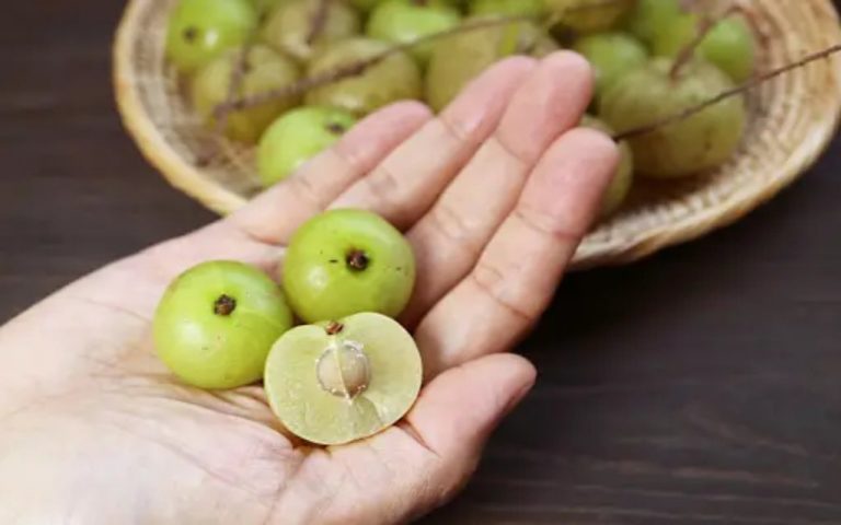 आंवले के नियमित सेवन से मिलती है स्ट्रांग इम्यूनिटी, जानें कैसे हैं सर्दियों के लिए वरदान
