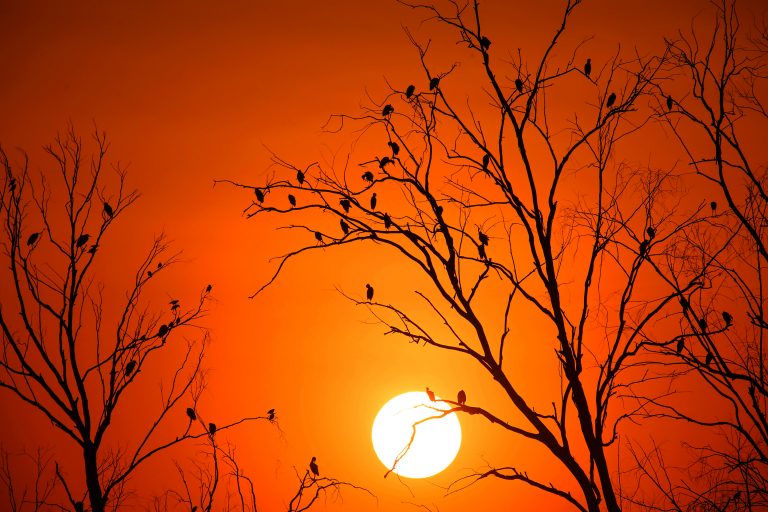 Weather Forecast : दिल्ली में छाएंगे बादल, जानें बिहार-झारखंड सहित अन्य राज्यों के मौसम का हाल