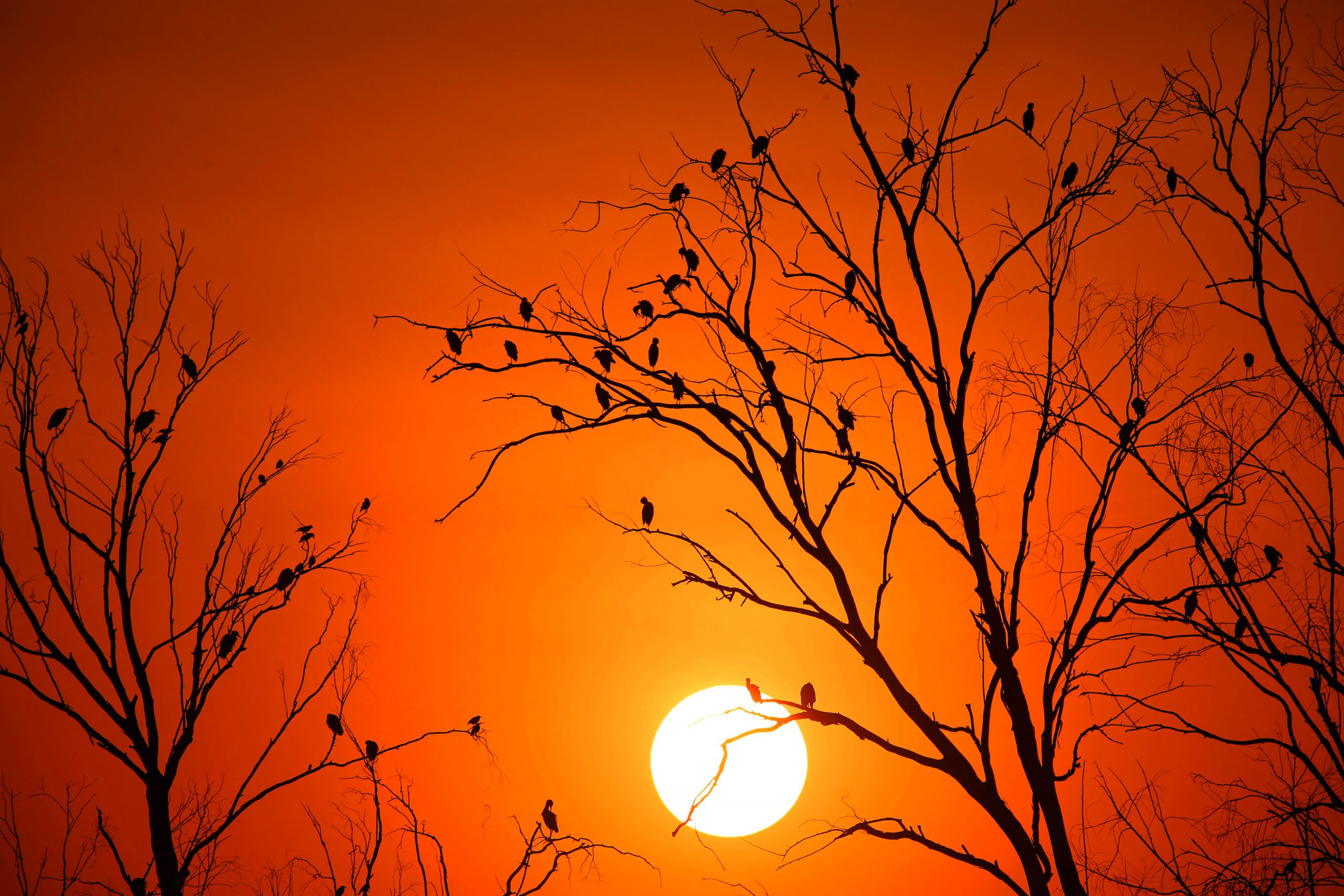 Jharkhand Weather