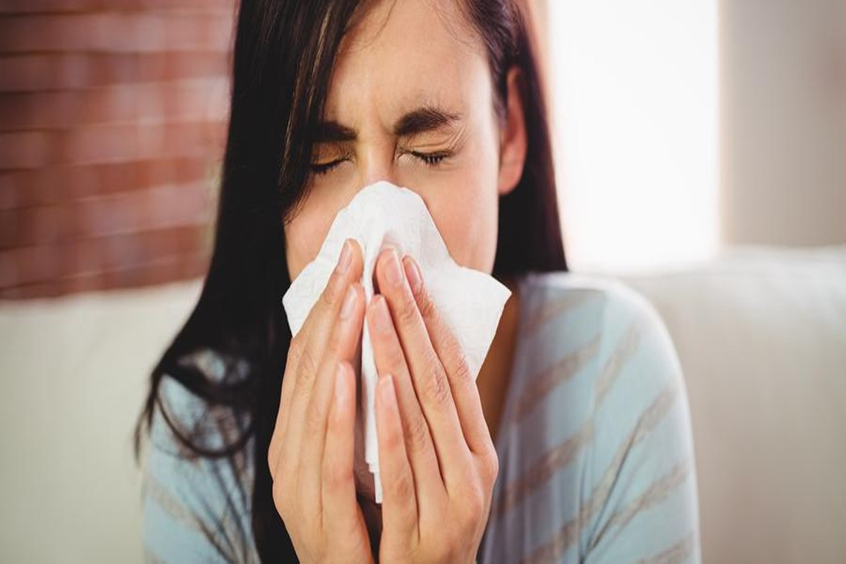 Sinus
