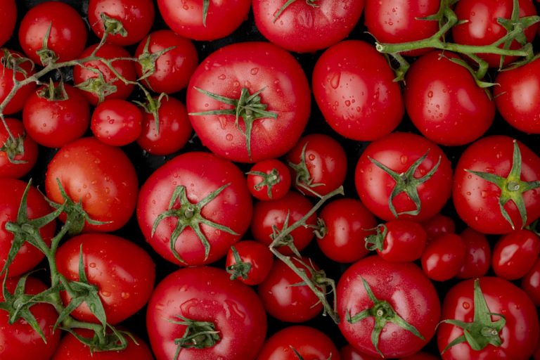 Tomato Price : आम जनता के लिए सरकार लाई खुशखबरी, दिल्ली मे मिलेंगे 50 रुपये किलो टमाटर