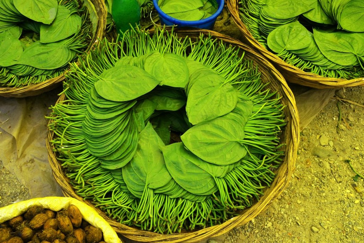 Benefits of Betel Leaves