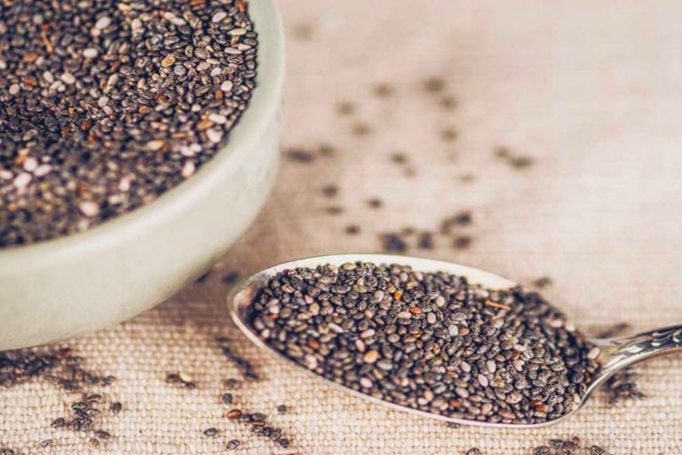 Chia Seeds : इन लोगों के लिए जहर होता है चिया सीड्स, कमजोर पाचन वाले कभी ना करें इस्तेमाल