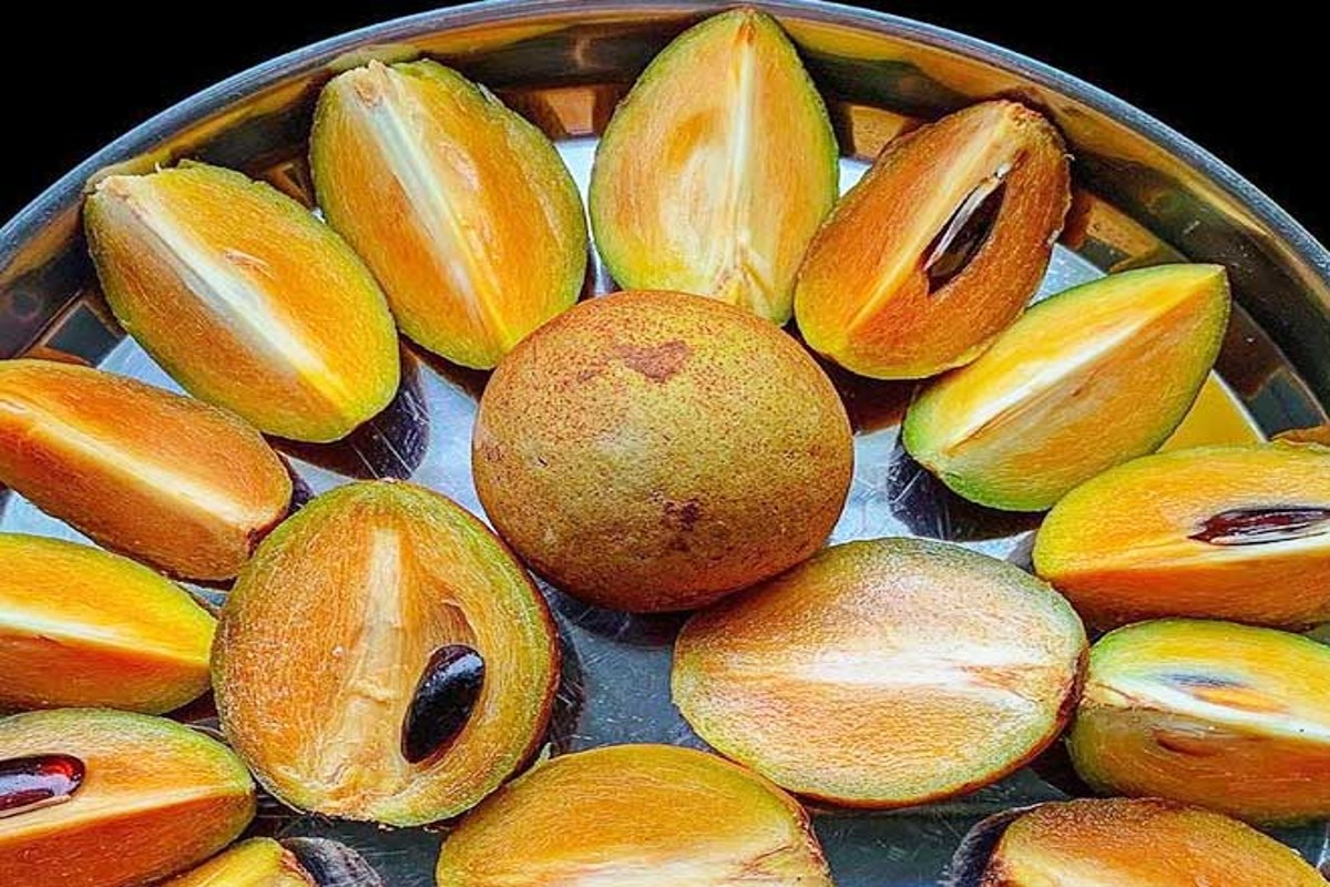 Chiku Benefits