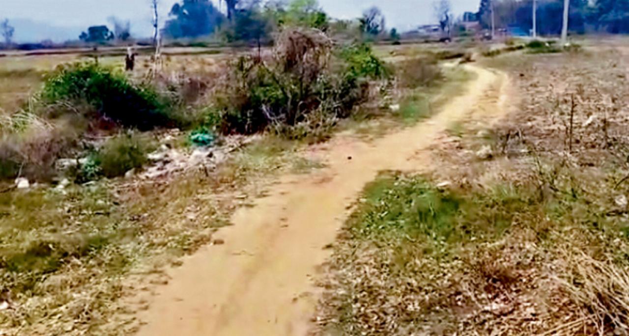 Jamui News