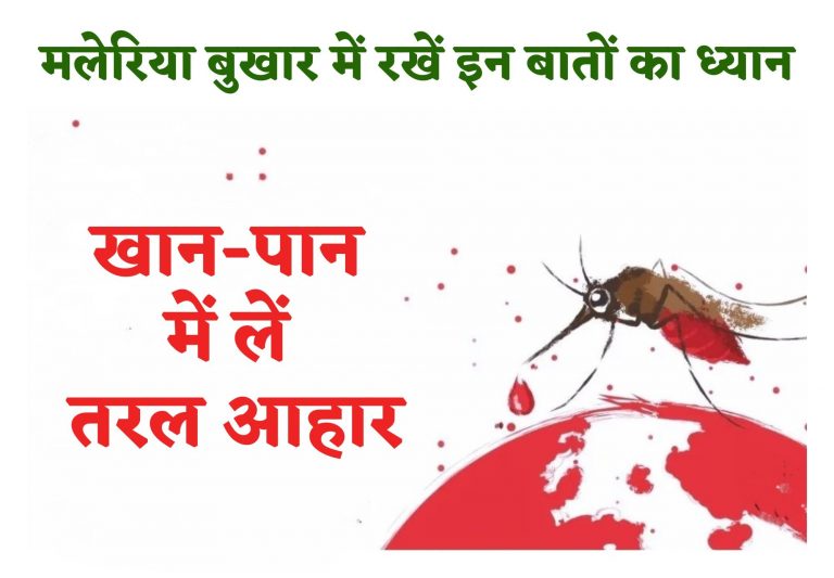 Malaria: मलेरिया बुखार हो तो जूस को दें प्राथमिकता, जंक फूड व अधिक घी-तेल वाले भोजन से बनाएं दूरी