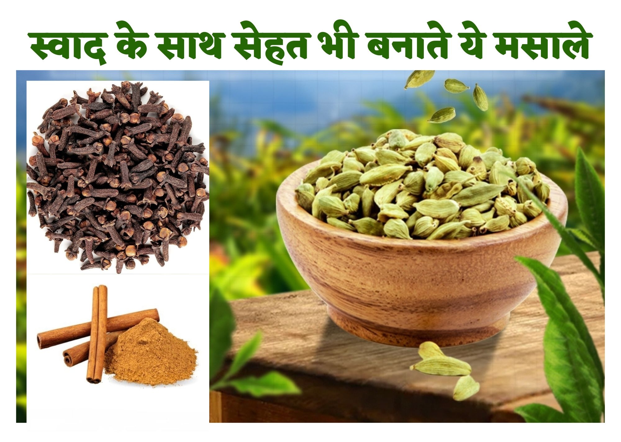 Benefits of Spices