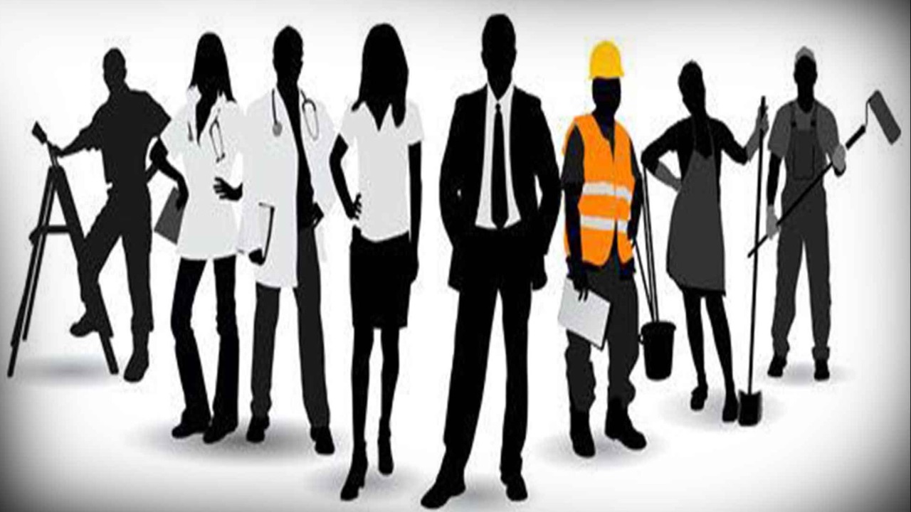 employment in India